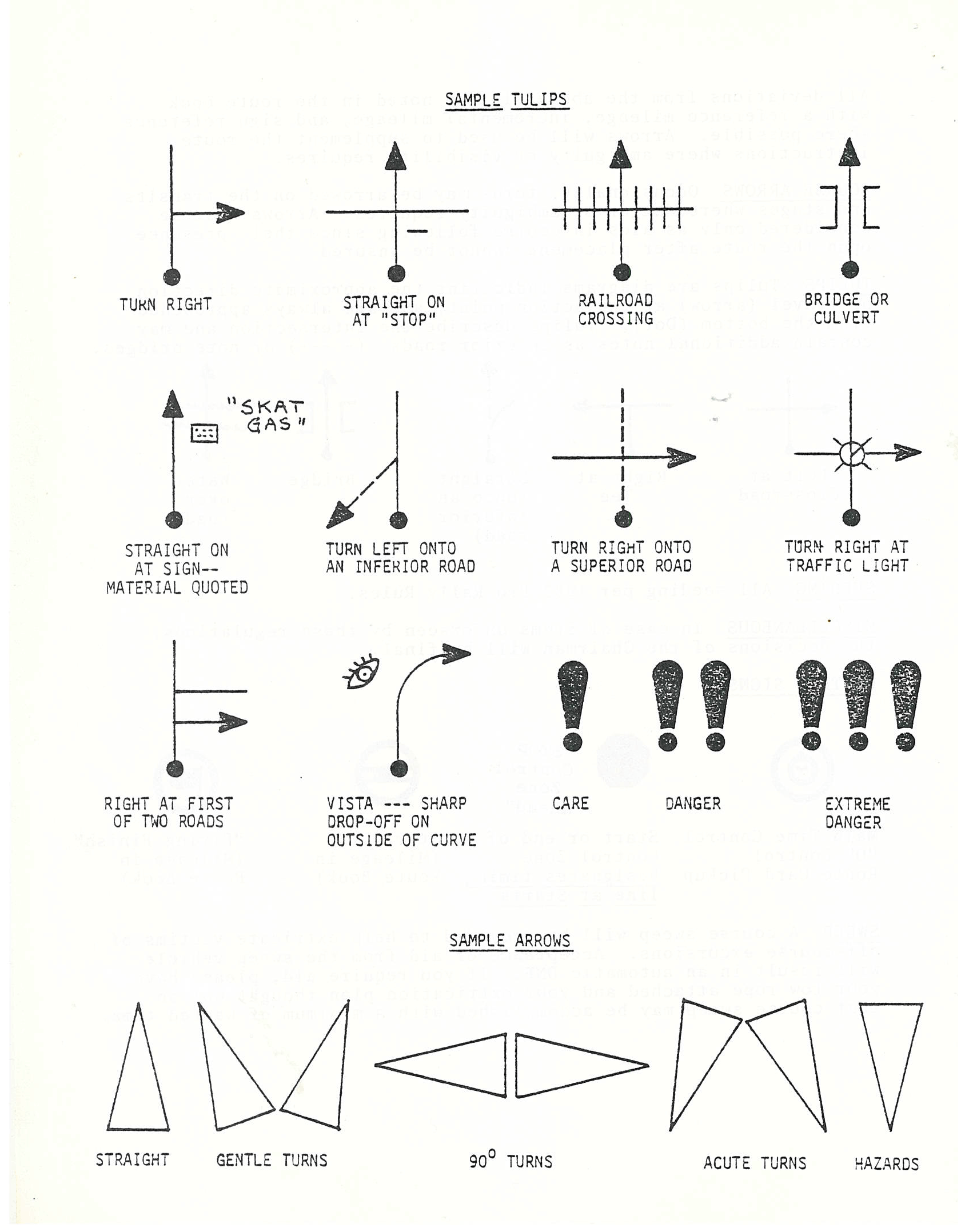 Northern Lights 1982